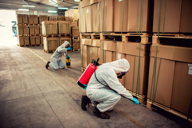 Reliable Maysville, MO Pest Control Solutions