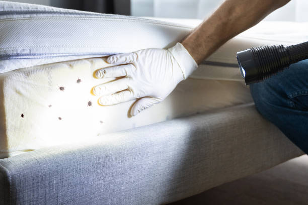 Pest Prevention Services in Maysville, MO